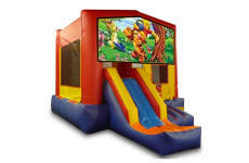 Pooh Bear with Slide Pooh Bear with Slide