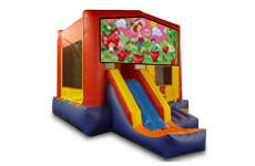 Strawberry Shortcake with Slide Strawberry Shortcake with Slide